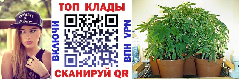 Магазин наркотиков Жуковка Конопля  Галлюциногенные грибы  ГАШ  АМФ 